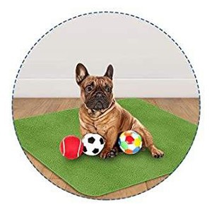 Puppy Pad Puppy Pad